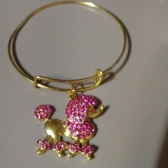 Pink poodle slide charm bracelet NWT (sku 1159) - Picture 2 of 4
